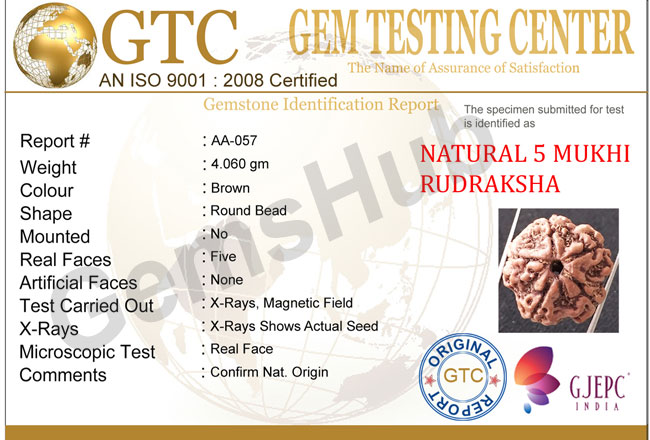 5 Mukhi Natural Certified Rudraksha Size- 21 mm Premium